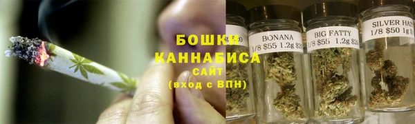 индика Богородицк