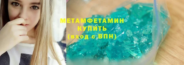 индика Богородицк