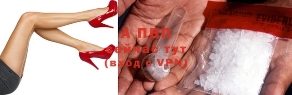 индика Богородицк