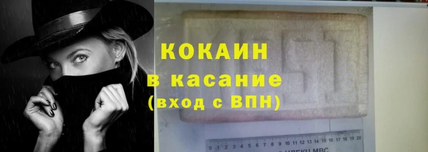 индика Богородицк