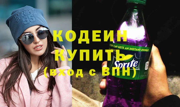 индика Богородицк