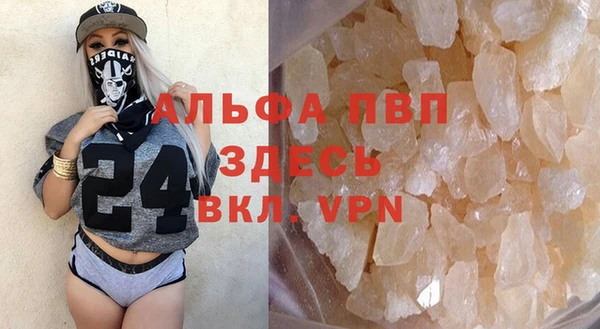 индика Богородицк