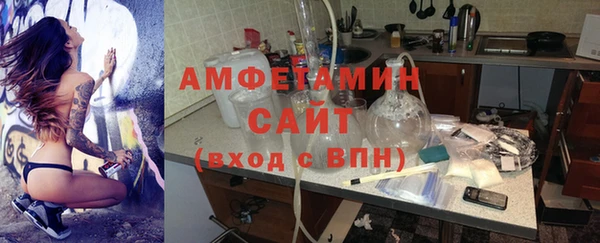 индика Богородицк