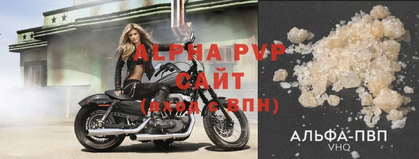 индика Богородицк