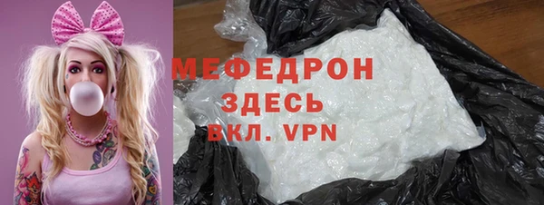 индика Богородицк