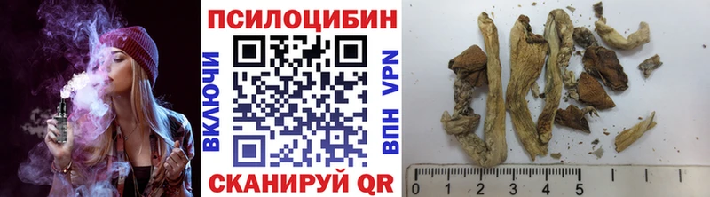 Псилоцибиновые грибы GOLDEN TEACHER  Демидов 